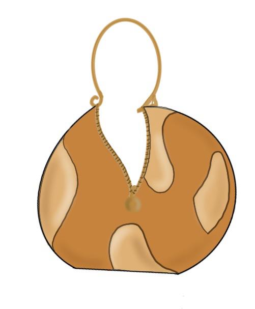 Bolso 4